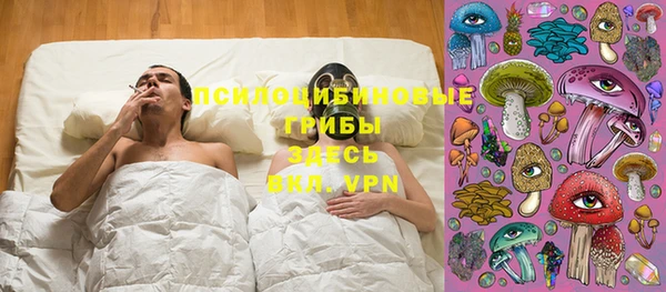 винт Богданович