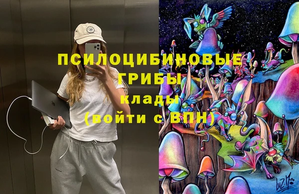 винт Богданович